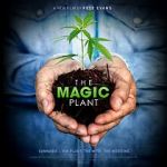 Watch The Magic Plant 123MoviesFree