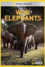 Watch War Elephants 123MoviesFree