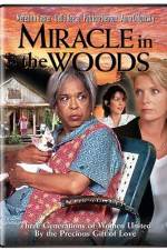 Watch Miracle in the Woods 123MoviesFree