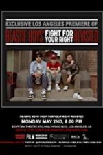 Watch Beastie Boys: Fight for Your Right Revisited 123MoviesFree