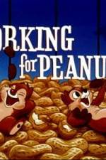Watch Working For Peanuts 123MoviesFree