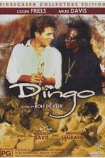 Watch Dingo 123MoviesFree