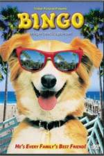 Watch Bingo 123MoviesFree