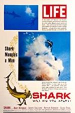 Watch Shark 123MoviesFree