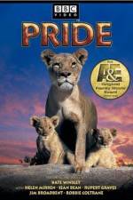 Watch Pride 123MoviesFree