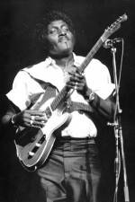 Watch Albert Collins in Concert 123MoviesFree