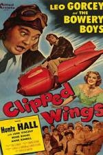 Watch Clipped Wings 123MoviesFree