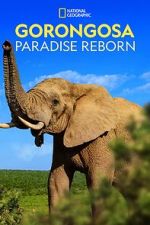 Watch Gorongosa: Paradise Reborn (Short 2022) 123MoviesFree