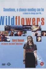 Watch Wildflowers 123MoviesFree