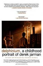 Watch Delphinium: A Childhood Portrait of Derek Jarman 123MoviesFree