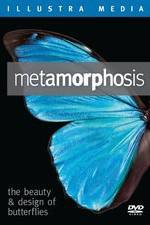 Watch Metamorphosis: The Beauty and Design of Butterflies 123MoviesFree