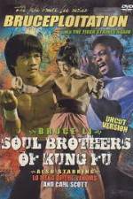 Watch Soul Brothers of Kung Fu 123MoviesFree