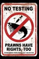 Watch Wikus and Charlize 123MoviesFree