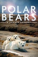 Watch Polar Bears: A Summer Odyssey 123MoviesFree
