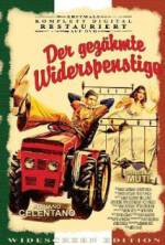 Watch The Taming of the Scoundrel 123MoviesFree