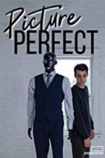 Watch Picture Perfect 123MoviesFree
