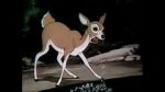 Watch Wacky Wildlife (Short 1940) 123MoviesFree