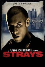 Watch Strays 123MoviesFree