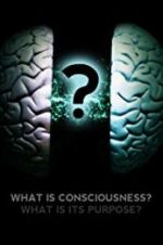 Watch What Is Consciousness? What Is Its Purpose? 123MoviesFree