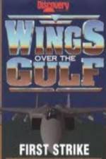 Watch Wings Over the Gulf Vol  1  First Strike 123MoviesFree