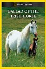 Watch Ballad of the Irish Horse 123MoviesFree