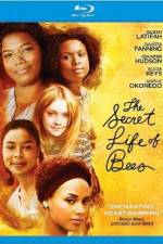 Watch The Secret Life of Bees 123MoviesFree