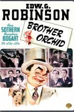 Watch Brother Orchid 123MoviesFree