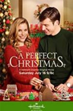 Watch An Unexpected Christmas 123MoviesFree
