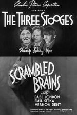Watch Scrambled Brains 123MoviesFree