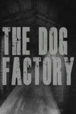 Watch The Dog Factory 123MoviesFree