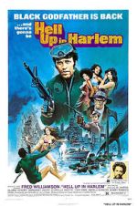 Watch Hell Up in Harlem 123MoviesFree