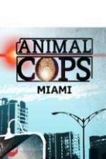 Watch Animal Cops Miami 123MoviesFree