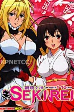 Watch Sekirei 123MoviesFree
