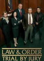Watch Law & Order: Trial by Jury 123MoviesFree