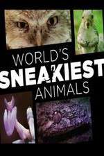 Watch World's Sneakiest Animals 123MoviesFree