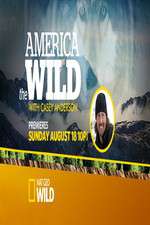 Watch America the Wild 123MoviesFree