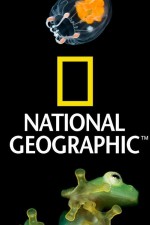 Watch Nat Geo Amazing! 123MoviesFree