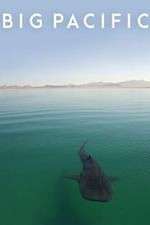 Watch Big Pacific 123MoviesFree