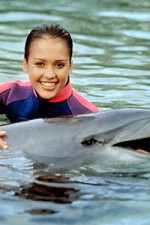 Watch Flipper (The New Adventures of Flipper) 123MoviesFree