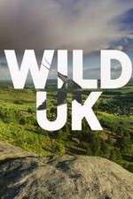 Watch Wild UK 123MoviesFree