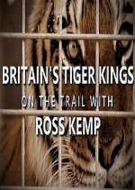 Watch Britain's Tiger Kings - On the Trail with Ross Kemp 123MoviesFree