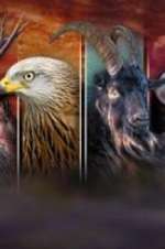 Watch Wales: Land of the Wild 123MoviesFree