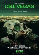 Watch CSI: Vegas 123MoviesFree