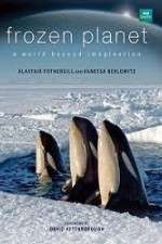 Watch Frozen Planet 123MoviesFree
