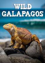 Watch Wild Galapagos 123MoviesFree