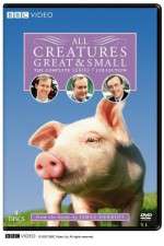 Watch All Creatures Great and Small 123MoviesFree