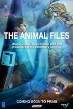 Watch The Animal Files 123MoviesFree