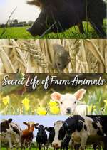 Watch Secret Life of Farm Animals 123MoviesFree
