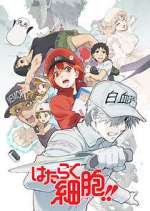 Watch Cells at Work! 123MoviesFree