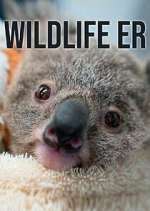 Watch Wildlife ER 123MoviesFree